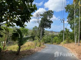  Land for sale in Thalang Phuket, Choeng Thale, Thalang, Phuket