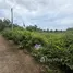  Land for sale in Chak Phong, Rayong, Chak Phong, Klaeng