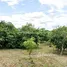 在南奔府出售的 土地, Lao Yao, Ban Hong, 南奔府