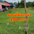  Земельный участок for sale in Si Sawang, Na Pho, Si Sawang