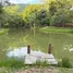 ขายที่ดิน ใน เนินหอม, ปราจีนบุรี, เนินหอม, เมืองปราจีนบุรี, ปราจีนบุรี, ไทย
