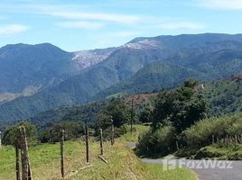  Land for sale in Alfaro Ruiz, Alajuela, Alfaro Ruiz