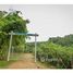  Land for sale in Roatan, Bay Islands, Roatan