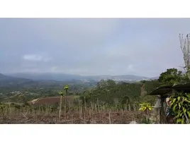  Land for sale in Alajuela, San Ramon, Alajuela