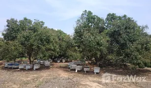 N/A Land for sale in Long Khot, Chiang Mai 