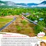  토지을(를) Mueang Nakhon Nayok, Nakhon Nayok에서 판매합니다., 사리카, Mueang Nakhon Nayok