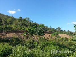 ທີ່ດິນ N/A ຂາຍ ໃນ , ຫຼວງພະບາງ Land for sale in Louangphrabang