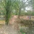 3 Bedroom Villa for sale in Chomphu, Lampang, Chomphu, Mueang Lampang