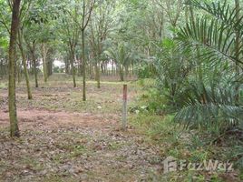 N/A Land for sale in Kaset Suwan, Pattaya Chon Buri, 2 to 6 Rai of Prime Chanote Land, Road,Elec,Water