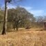  Land for sale in Guanacaste, Santa Cruz, Guanacaste