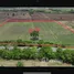  Land for sale in Tap Khlo Phichit, Khao Sai, Tap Khlo, Phichit
