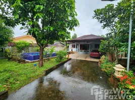 2 Schlafzimmer Haus zu verkaufen in San Sai, Chiang Mai, Mueang Len