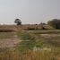  Land for sale in Kham Thale So, Nakhon Ratchasima, Kham Thale So, Kham Thale So