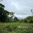  Land for sale in Thailand, Pong Yaeng, Mae Rim, Chiang Mai, Thailand