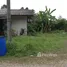  Land for sale in Mueang Chumphon, Chumphon, Na Thung, Mueang Chumphon