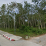  Terrain for sale in Nakhon Si Thammarat, Na San, Phra Phrom, Nakhon Si Thammarat