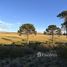  Terreno (Parcela) en venta en Chile, Lonquimay, Malleco, Araucanía, Chile