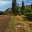  Land for sale in Urubamba Cusco, Ollantaytambo, Urubamba
