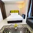 Penthouse Studio à louer à Robin Suites, Tyersall, Tanglin, Central Region