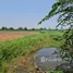  Land for sale in Thailand, Tha Sut, Mueang Chiang Rai, Chiang Rai, Thailand