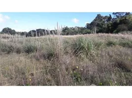  Land for sale in Villarino, Buenos Aires, Villarino