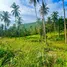  Land for sale in Taling Ngam, Surat Thani, Taling Ngam, Koh Samui
