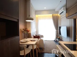 คอนโด 1 ห้องนอน ให้เช่า ในโครงการ พาร์ค ออริจิ้น ทองหล่อ, คลองตันเหนือ