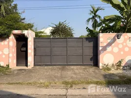 ขายที่ดิน ใน บางเขน, นนทบุรี, บางเขน