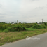 Grundstück zu verkaufen in Mueang Nakhon Pathom, Nakhon Pathom, Bo Phlap, Mueang Nakhon Pathom, Nakhon Pathom