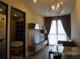 คอนโด 1 ห้องนอน ให้เช่า ในโครงการ แอชตัน อโศก, คลองเตยเหนือ