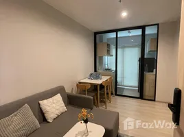 1 Bedroom Condo for rent at Nue Noble Srinakarin - Lasalle, Samrong Nuea, Mueang Samut Prakan, Samut Prakan