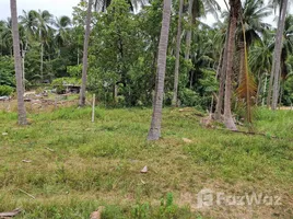 ขายที่ดิน ใน ขนอม, นครศรีธรรมราช, ขนอม, ขนอม, นครศรีธรรมราช