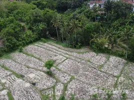  Grundstück zu verkaufen in Gianyar, Bali, Sukawati, Gianyar