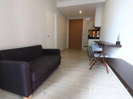 在Movenpick Residences Ekkamai租赁的1 卧室 公寓, Khlong Tan Nuea