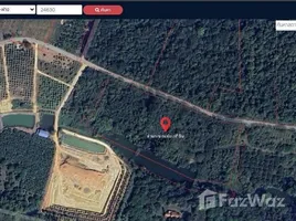 ขายที่ดิน ใน แม่งอน, เชียงใหม่, แม่งอน, ฝาง, เชียงใหม่