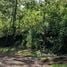  Land for sale in Tegucigalpa Francisco Morazan, Tegucigalpa