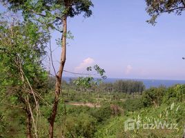  Terrain for sale in Sakhu, Thalang, Sakhu