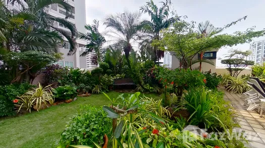 图片 1 of the Communal Garden Area at Newton Tower