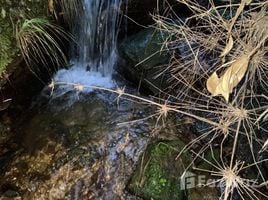  Terreno (Parcela) en venta en Chile, Valdivia, Valdivia, Los Ríos, Chile