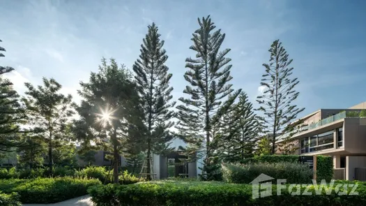 Photos 1 of the Communal Garden Area at Artale Phatthanakan-Thonglor