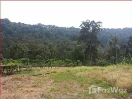  Land for sale in Barat Daya Southwest Penang, Penang, Pulau Betong, Barat Daya Southwest Penang