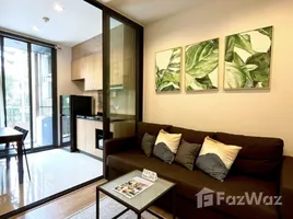 อพาร์ทเม้นท์ 1 ห้องนอน ให้เช่า ในโครงการ ฮาสุ เฮ้าส์, พระโขนงเหนือ