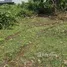  Terreno (Parcela) en venta en Ungasan, Bali, Ungasan, Badung