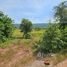 ขายที่ดิน ใน ลำสนธิ, ลพบุรี, ลำสนธิ, ลำสนธิ, ลพบุรี, ไทย