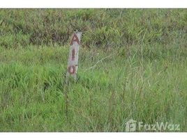  Land for sale in São Paulo, Pesquisar, Bertioga, São Paulo