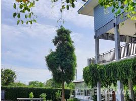 ขายบ้านเดี่ยว 6 ห้องนอน ใน หนองน้ำแดง, นครราชสีมา, หนองน้ำแดง, ปากช่อง, นครราชสีมา