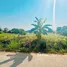  Земельный участок for sale in Taphong, Районг, Taphong