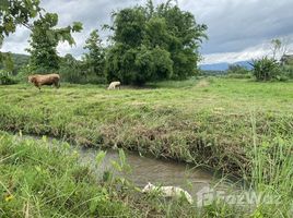  Земельный участок for sale in San Pa Yang, Mae Taeng, San Pa Yang