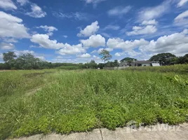  Land for sale in Don Kaeo, Chiang Mai, Don Kaeo, Saraphi, Chiang Mai