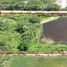ขายที่ดิน ใน บ้านเกาะ, สมุทรสาคร, บ้านเกาะ, เมืองสมุทรสาคร, สมุทรสาคร